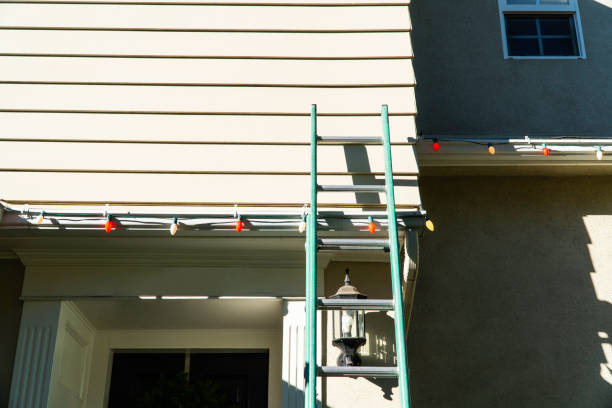 Best Custom Trim and Detailing for Siding  in Lame Deer, MT